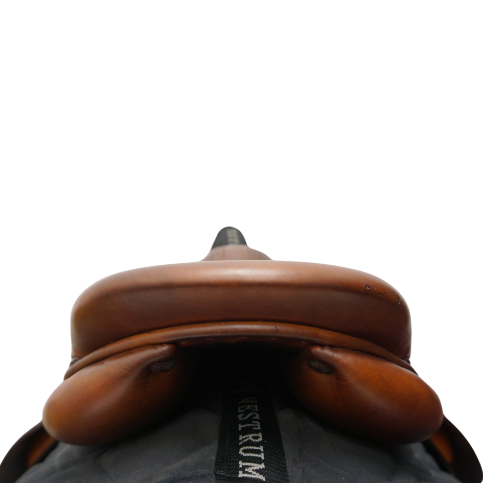 00 Saddle Model Seat