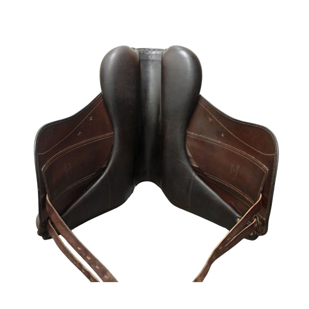 Childeric Dressage 18,5"