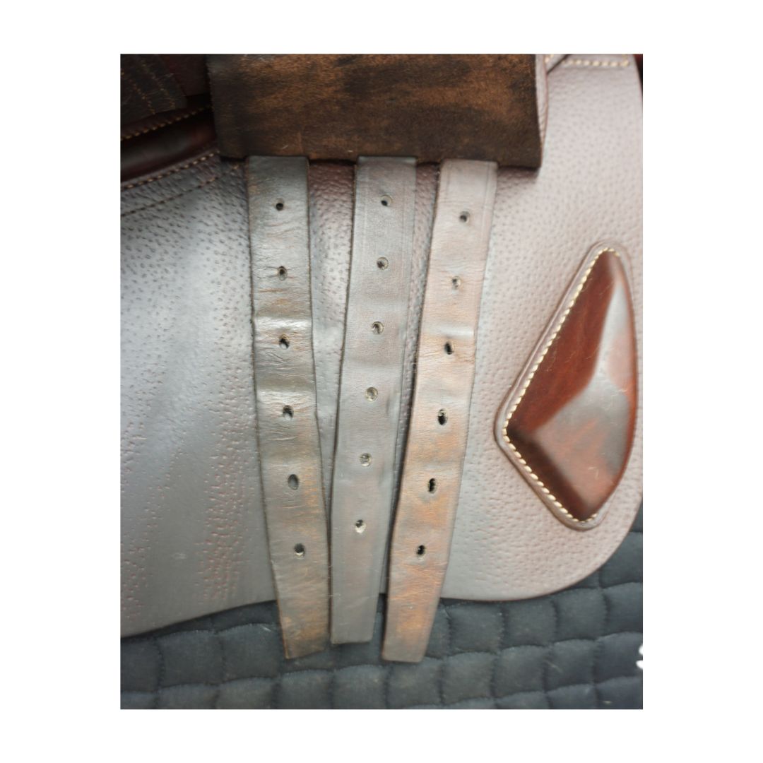 CWD 2Gs 17"