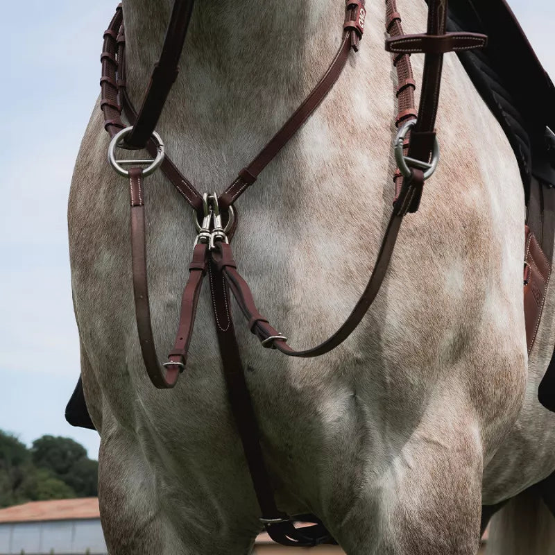 CWD Pre-loved Martingalarmar
