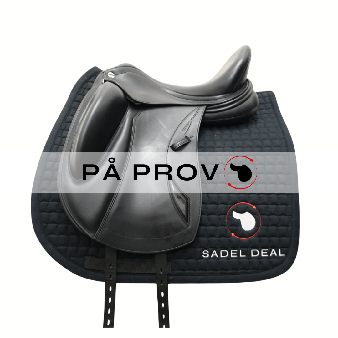 00 Saddle Model Seat