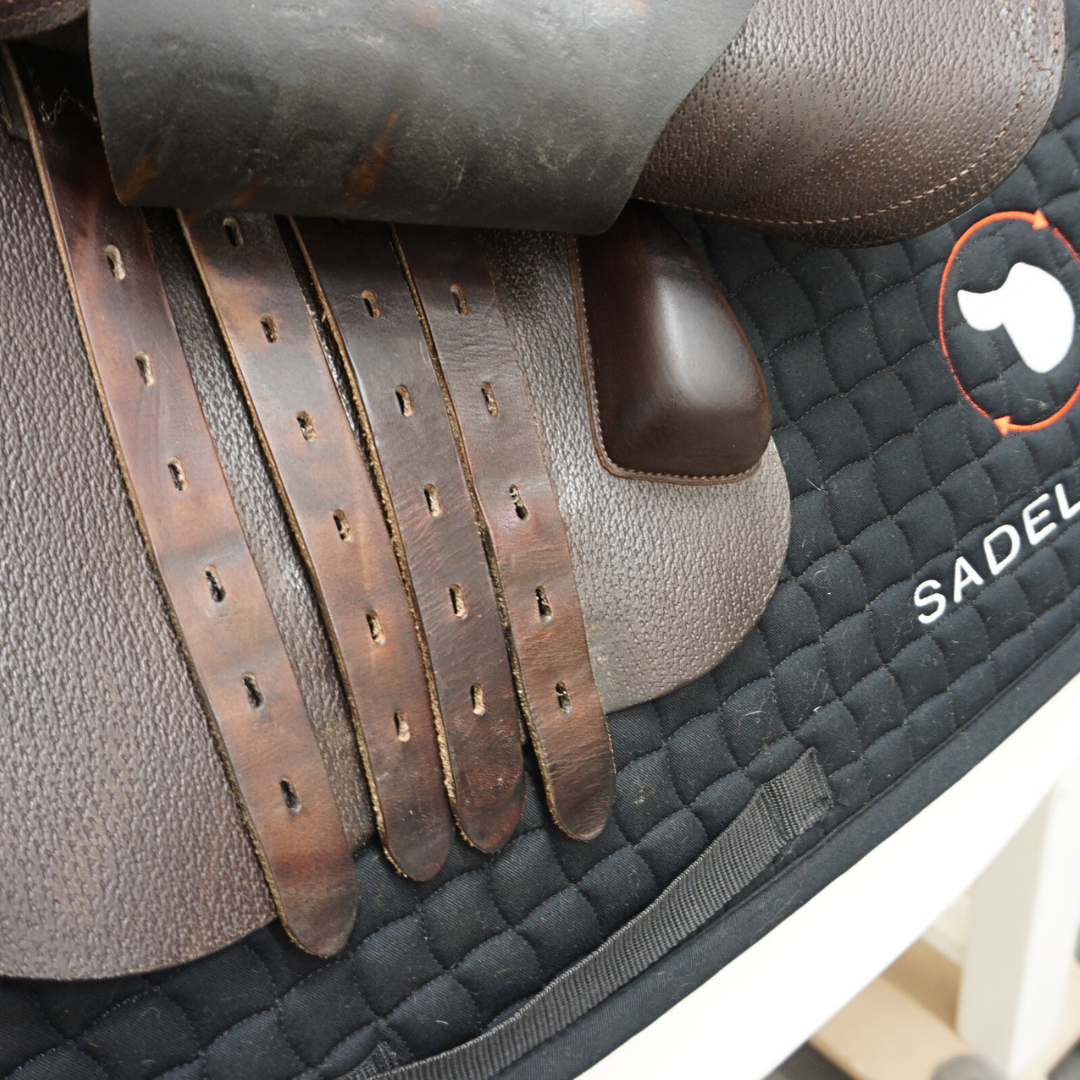 Amerigo HC Pinerolo 17,5"