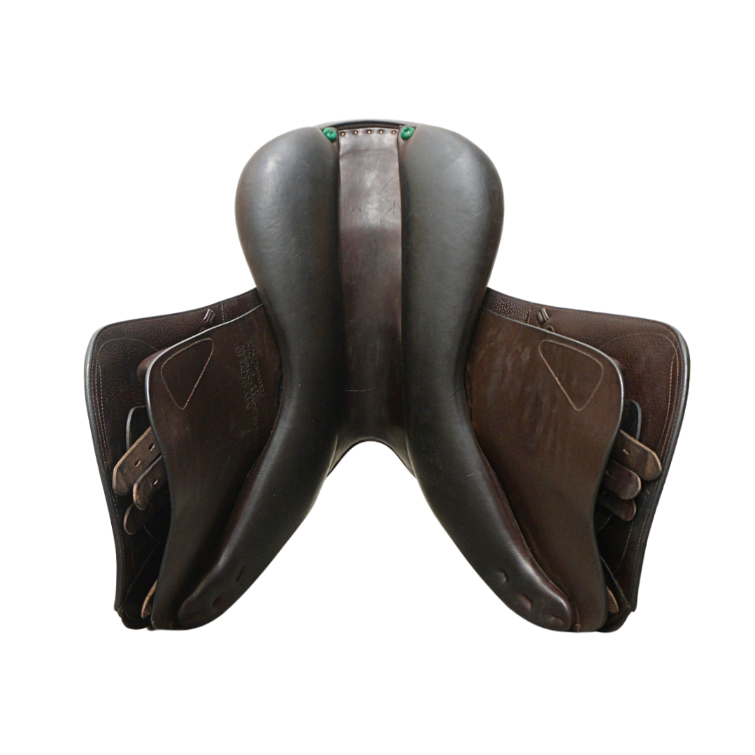 Amerigo Pinerolo 17"