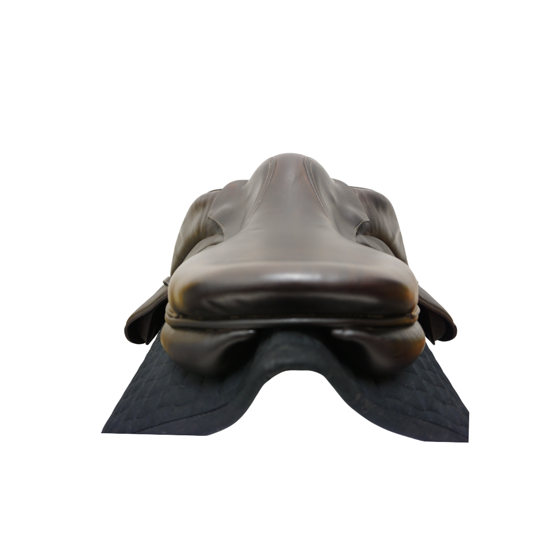 Voltaire Palm Beach 17"