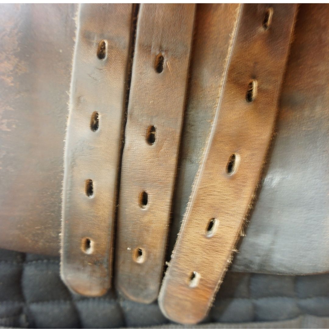 00 Saddle Model Seat