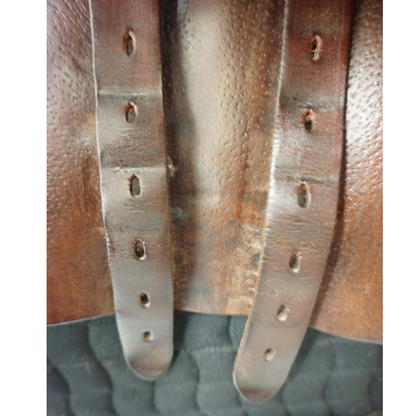 Voltaire Palm Beach 17"